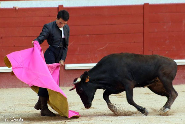 Fotografía de Vanessa Santos Linares